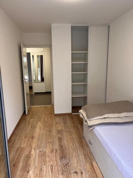 Appartement Red Jardin Tres Calme Saint-Louis  Εξωτερικό φωτογραφία